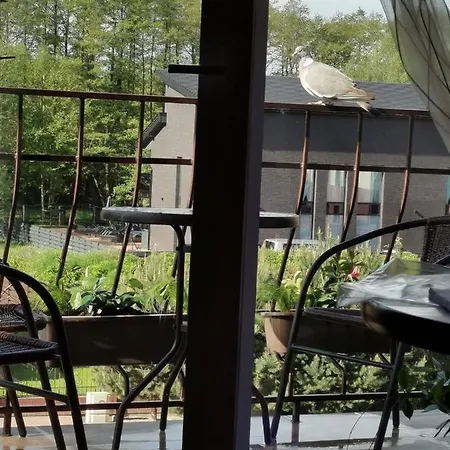 Апартаменты Neringa Apartamentai Паланга