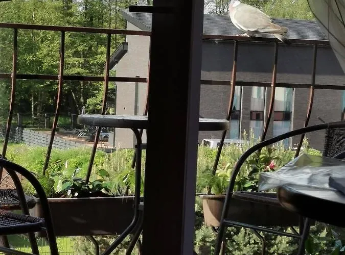 アパート Neringa Apartamentai パランガ